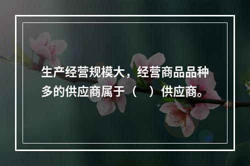 生产经营规模大，经营商品品种多的供应商属于（　）供应商。