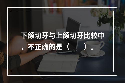 下颌切牙与上颌切牙比较中，不正确的是（　　）。