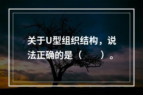 关于U型组织结构，说法正确的是（　　）。