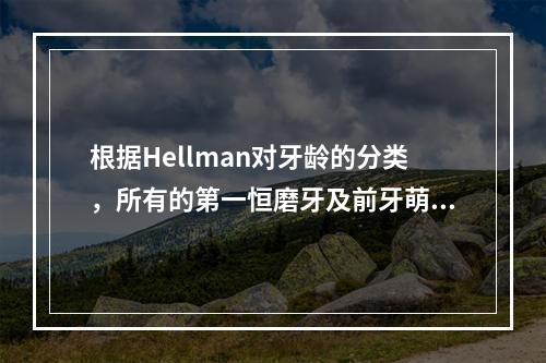 根据Hellman对牙龄的分类，所有的第一恒磨牙及前牙萌出