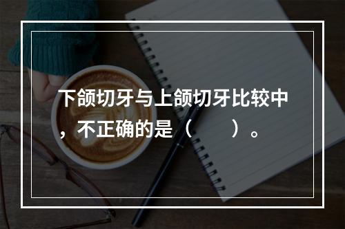 下颌切牙与上颌切牙比较中，不正确的是（　　）。