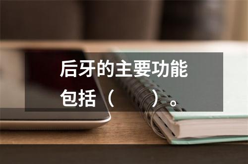 后牙的主要功能包括（　　）。