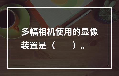 多幅相机使用的显像装置是（　　）。