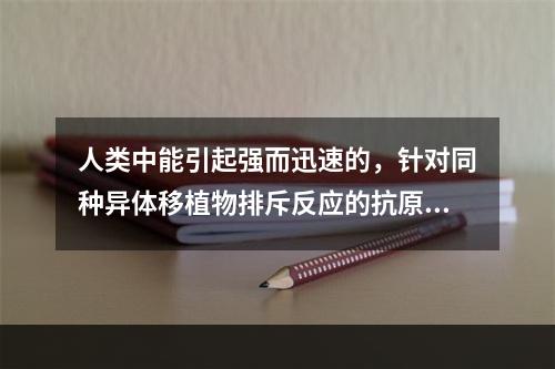 人类中能引起强而迅速的，针对同种异体移植物排斥反应的抗原是