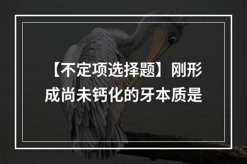 【不定项选择题】刚形成尚未钙化的牙本质是