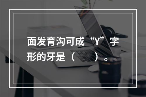 面发育沟可成“Y”字形的牙是（　　）。