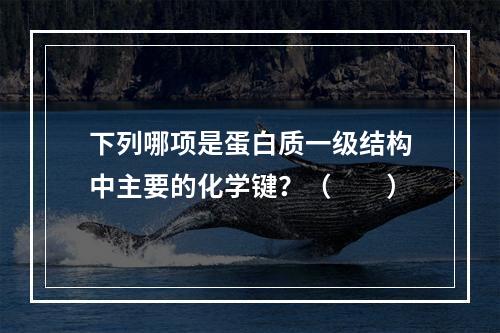 下列哪项是蛋白质一级结构中主要的化学键？（　　）