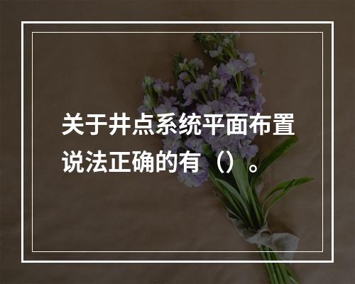 关于井点系统平面布置说法正确的有（）。