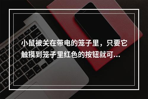 小鼠被关在带电的笼子里，只要它触摸到笼子里红色的按钮就可免除