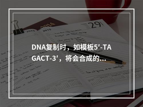 DNA复制时，如模板5′-TAGACT-3′，将会合成的互