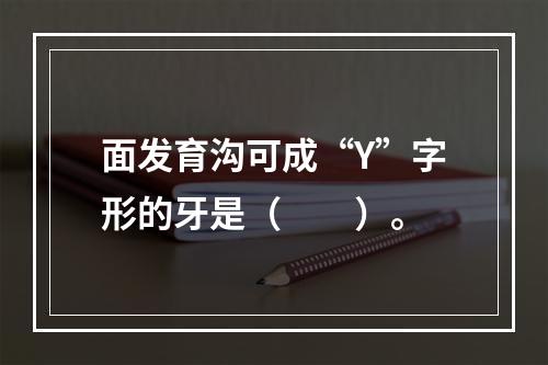 面发育沟可成“Y”字形的牙是（　　）。