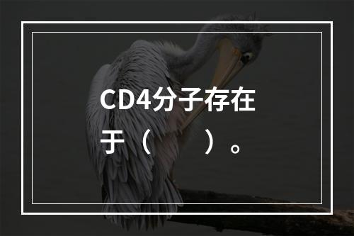 CD4分子存在于（　　）。