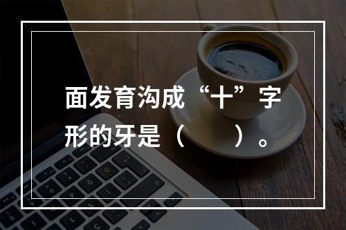 面发育沟成“十”字形的牙是（　　）。