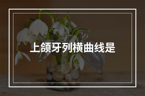 上颌牙列横曲线是