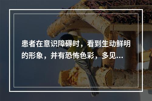 患者在意识障碍时，看到生动鲜明的形象，并有恐怖色彩，多见于