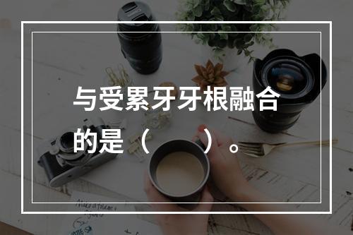 与受累牙牙根融合的是（　　）。