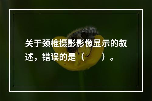 关于颈椎摄影影像显示的叙述，错误的是（　　）。