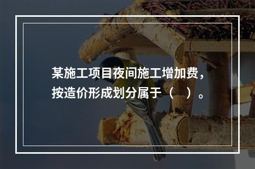 某施工项目夜间施工增加费，按造价形成划分属于（　）。