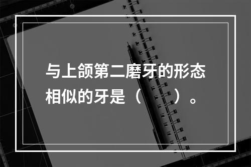 与上颌第二磨牙的形态相似的牙是（　　）。