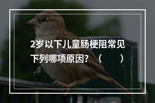 2岁以下儿童肠梗阻常见下列哪项原因？（　　）