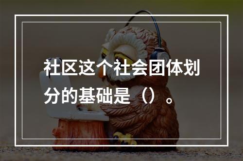 社区这个社会团体划分的基础是（）。