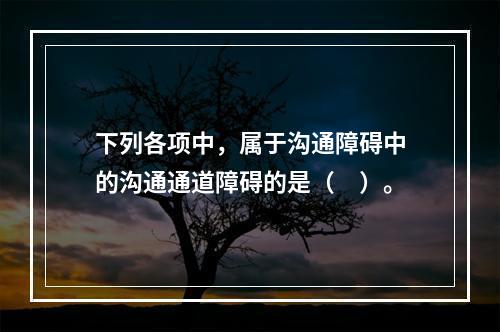 下列各项中，属于沟通障碍中的沟通通道障碍的是（　）。