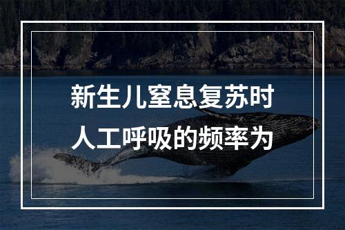 新生儿窒息复苏时人工呼吸的频率为