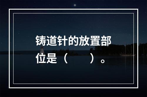 铸道针的放置部位是（　　）。