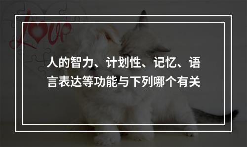 人的智力、计划性、记忆、语言表达等功能与下列哪个有关