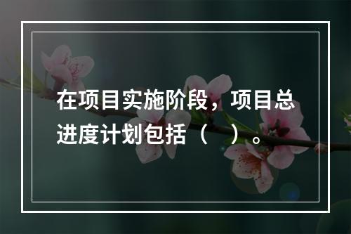 在项目实施阶段，项目总进度计划包括（　）。