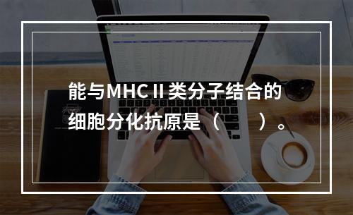 能与MHCⅡ类分子结合的细胞分化抗原是（　　）。