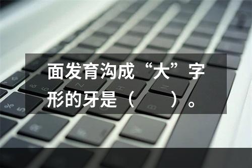 面发育沟成“大”字形的牙是（　　）。