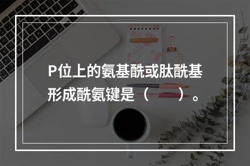 P位上的氨基酰或肽酰基形成酰氨键是（　　）。