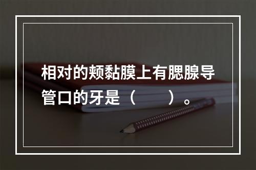 相对的颊黏膜上有腮腺导管口的牙是（　　）。