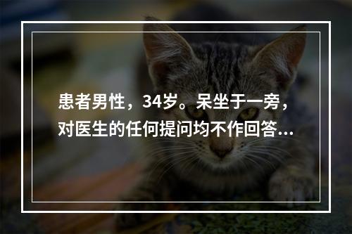 患者男性，34岁。呆坐于一旁，对医生的任何提问均不作回答，