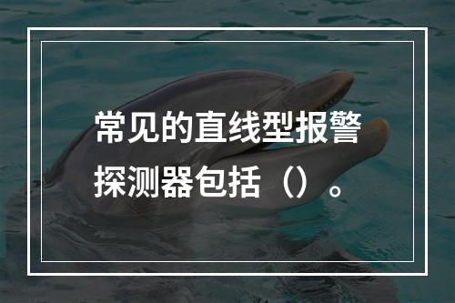 常见的直线型报警探测器包括（）。