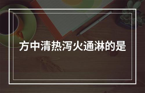 方中清热泻火通淋的是