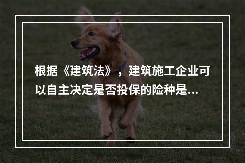 根据《建筑法》，建筑施工企业可以自主决定是否投保的险种是（　