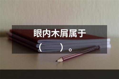 眼内木屑属于（　　）。