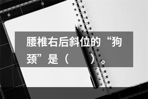 腰椎右后斜位的“狗颈”是（　　）。