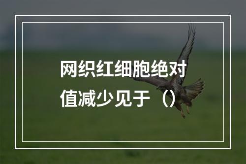 网织红细胞绝对值减少见于（）