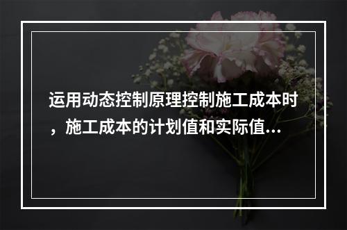 运用动态控制原理控制施工成本时，施工成本的计划值和实际值的比