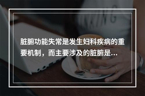 脏腑功能失常是发生妇科疾病的重要机制，而主要涉及的脏腑是（）