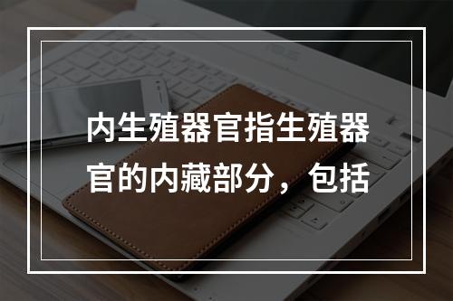 内生殖器官指生殖器官的内藏部分，包括