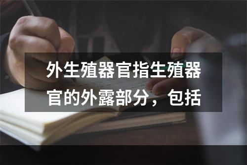 外生殖器官指生殖器官的外露部分，包括