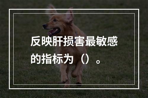 反映肝损害最敏感的指标为（）。