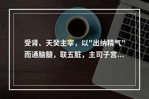 受肾、天癸主宰，以