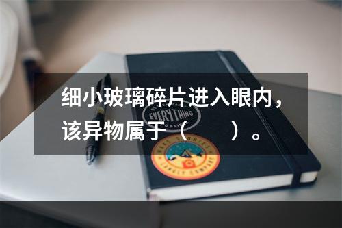 细小玻璃碎片进入眼内，该异物属于（　　）。