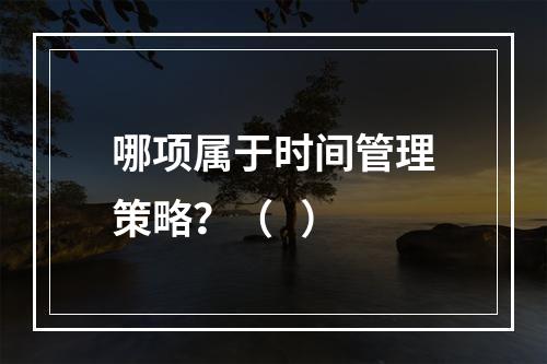 哪项属于时间管理策略？（   ）