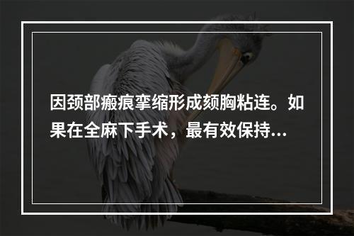 因颈部瘢痕挛缩形成颏胸粘连。如果在全麻下手术，最有效保持呼吸